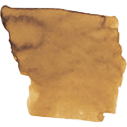 Color – Caramel Macchiato
