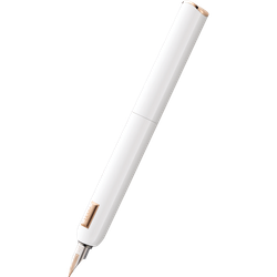 Finish – Shiny White