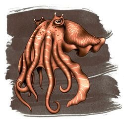 Ink Color – Cuttlefish Brown