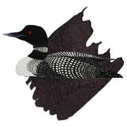 Common Loon Black