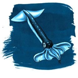 Ink Color – Flying Squid Blue
