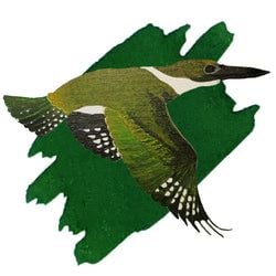 Ink Color – Kingfisher Green