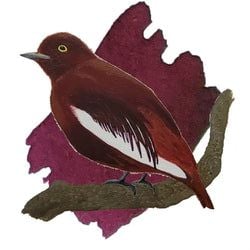 Ink Color – Pompadour Cotinga Burgundy