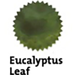 Finish – Eucalyptus Leaf