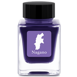 Finish – Nagano Justice