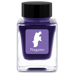 Finish – Nagano Justice