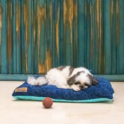 Color – Turquoise & Ensign