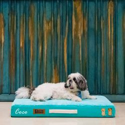 Color – Turquoise - Micro Fur