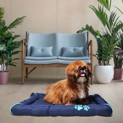 Color – Ensign Blue