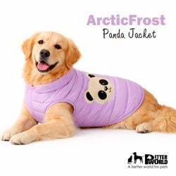 ArcticFrost Panda