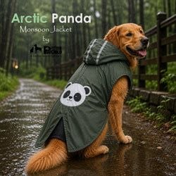Color – Olive Green Panda