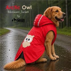 Color – Fiery Red Owl