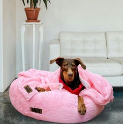 Color – Millennial Pink