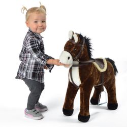 Option – timmy