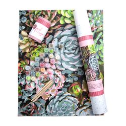 Style – Sensitive Succulents