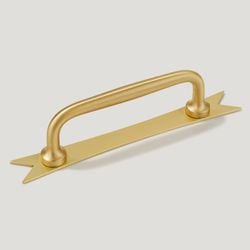 Backplate – Pull with Backplate