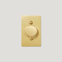Type – Dimmer(s)