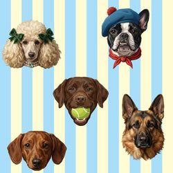 Motif – C'est Chien