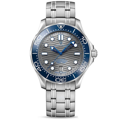 Dial Color / Band – Grey - Blue Bezel