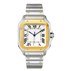 Dial Color – Silver/Golden