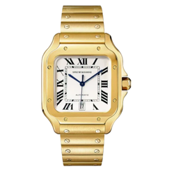 Dial Color – Golden