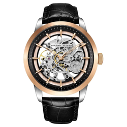 Dial Color – Golden-Black