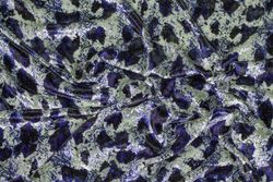 Color – Navy