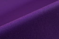 Color – Purple