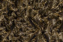 Color – Gold