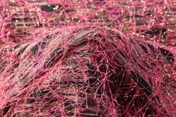 Color – Pink