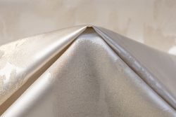 Color – Champagne