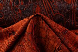 Color – Orange