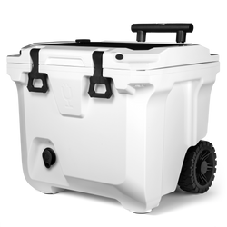 Color – Ice White