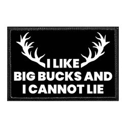 I LIKE BIG BUCKS AND I CANNOT LIE