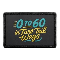 0 to 60 in Two Tail Wags