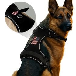DOG HARNESS SIZE: – LARGE