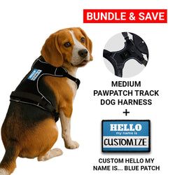 MEDIUM BUNDLES: CUSTOM PATCH & HARNESS – Custom Hello My Name Is Blue Patch + Harness