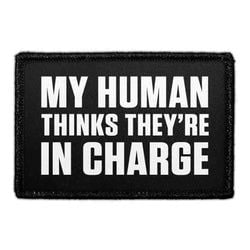 My Human Thinks They're in Charge