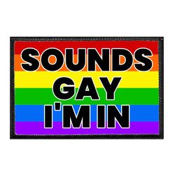 SOUNDS GAY - I'M IN