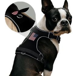 DOG HARNESS SIZE: – MEDIUM