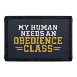 MY HUMAN NEEDS AN OBEDIENCE CLASS