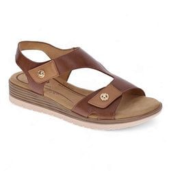 Dark/Lt Tan