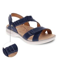 Blue French
