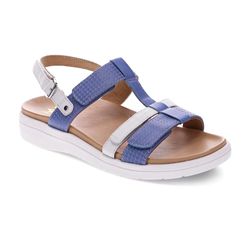 Blue Multi