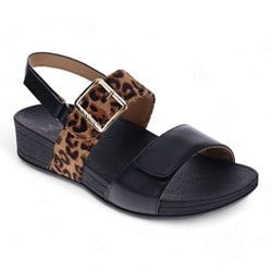 Black Leopard