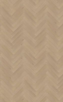 Belakos Palazzo visgraat XL 77