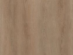 Canyon Oak