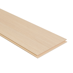 Monticiano Eik Natuur