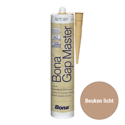 Beuken Licht