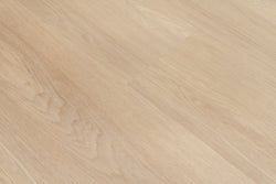 Noordwijk Natuur Eiken